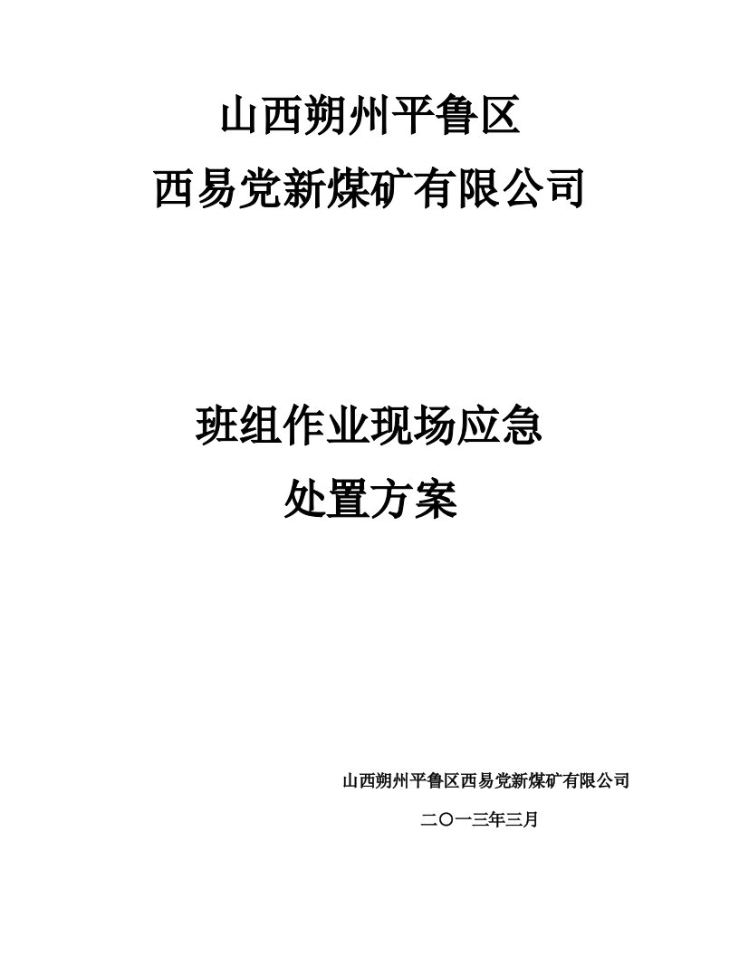 煤矿有限公司班组作业应急处置方案