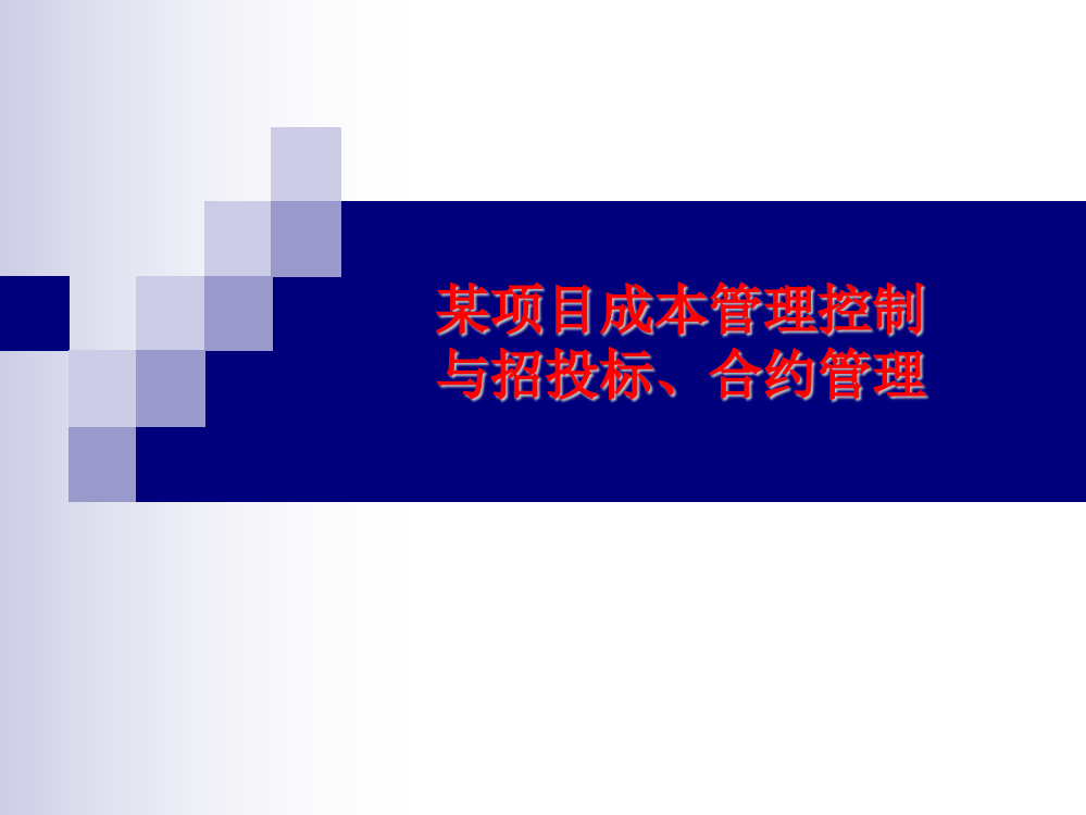 地产精细化成本控制与招投标合约管理400页