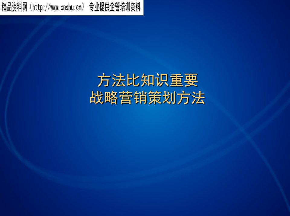 战略营销（PPT66页）