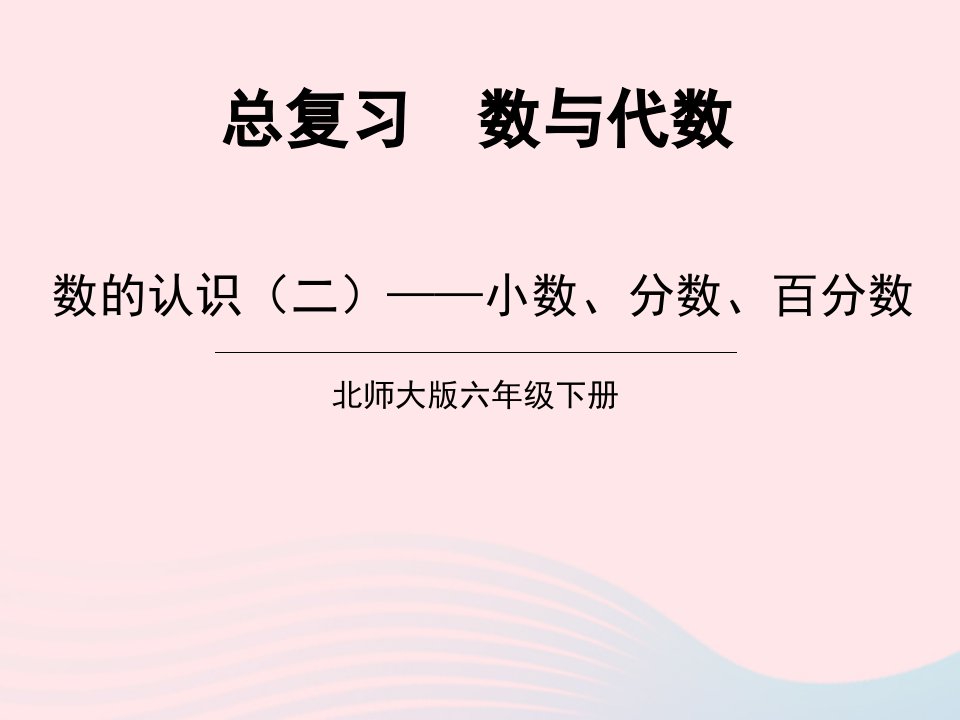 2023六年级数学下册总复习专题一数与代数第2课时数的认识二小数分数百分数课件北师大版