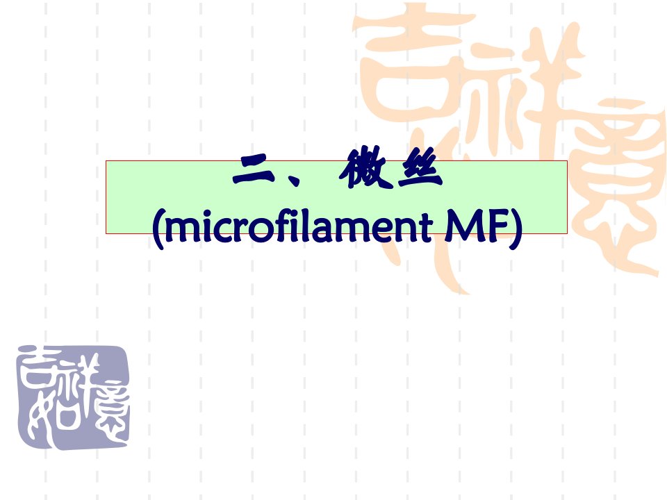 医学细胞生物学细胞骨架