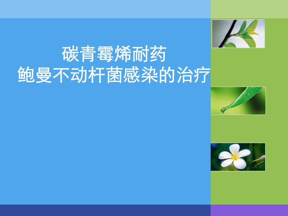 碳青霉烯耐药鲍曼不动杆菌感染的治疗