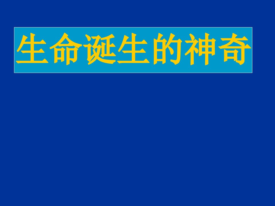 胎儿发育全过程