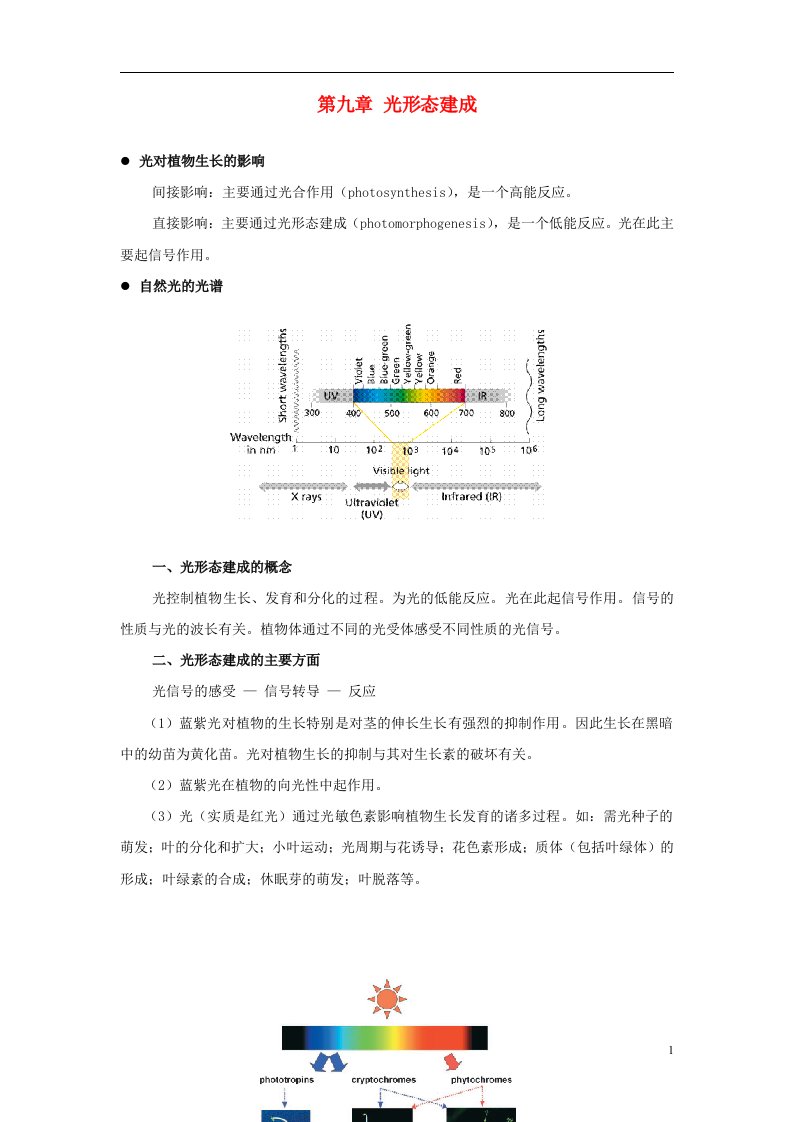 高中生物