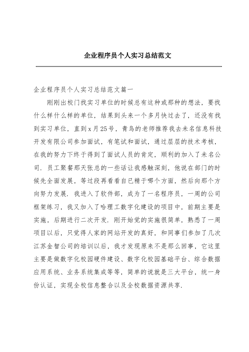 企业程序员个人实习总结范文