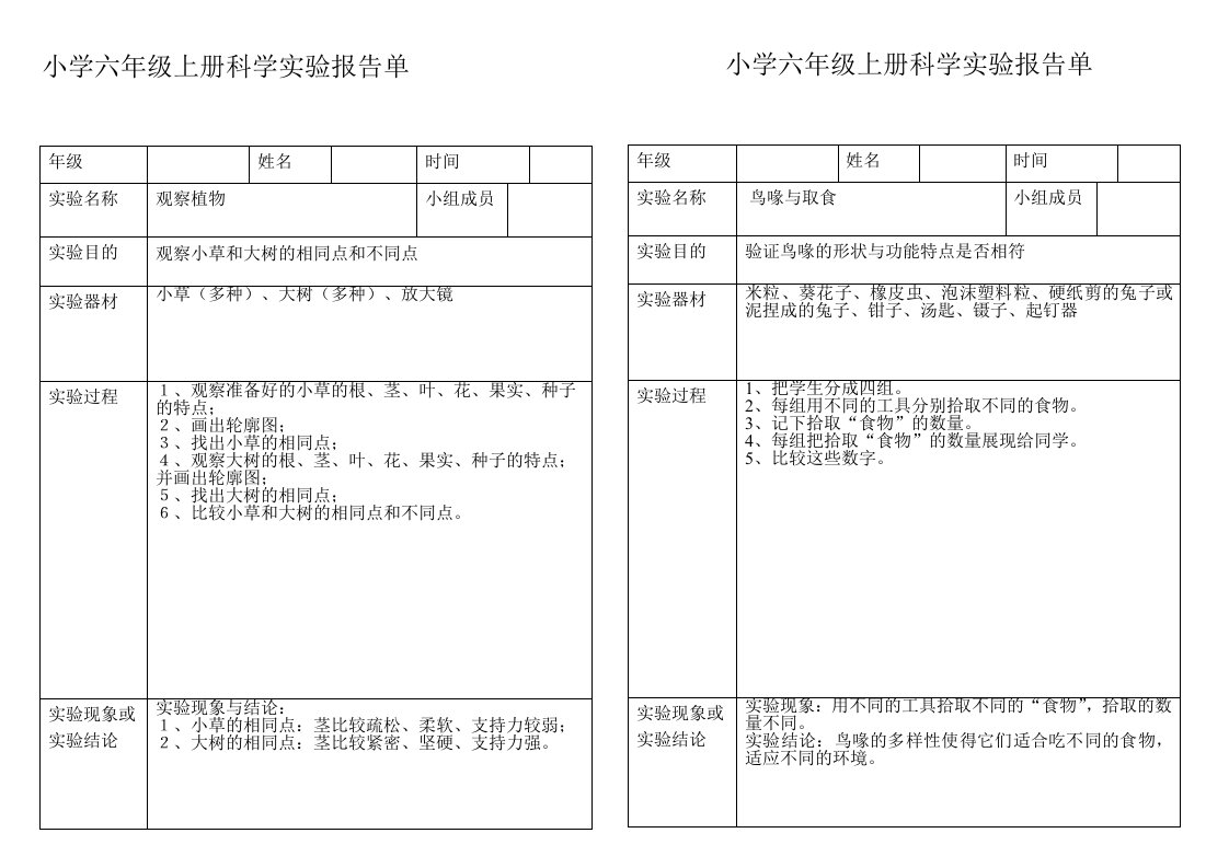 小学科学六年级上册实验报告单