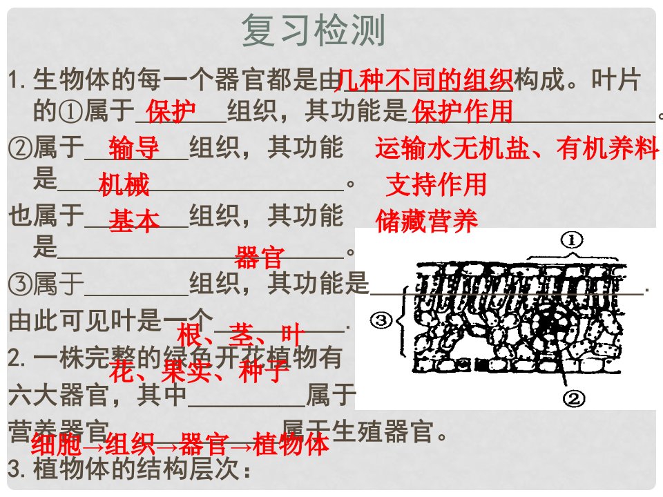 江苏省铜山区七年级生物下册