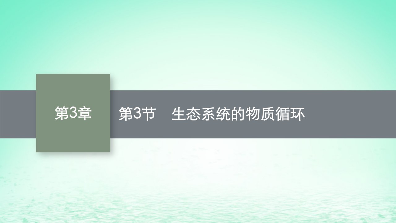 2022_2023学年新教材高中生物第3章生态系统及其稳定性第3节生态系统的物质循环课件新人教版选择性必修2