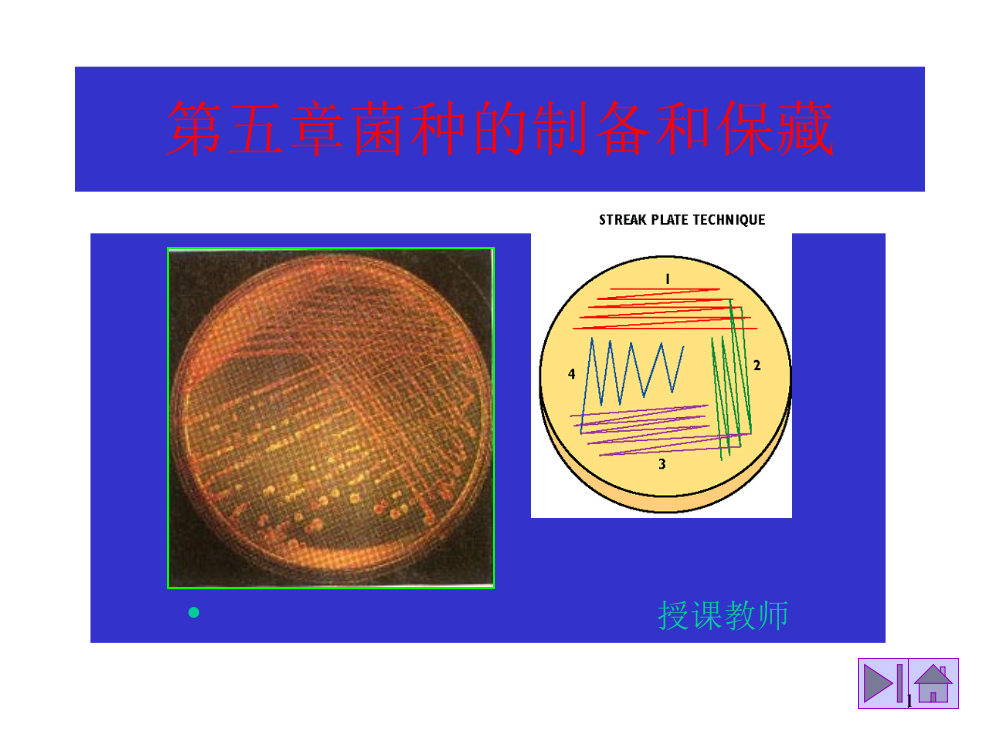 菌种的制备和保藏ppt课件