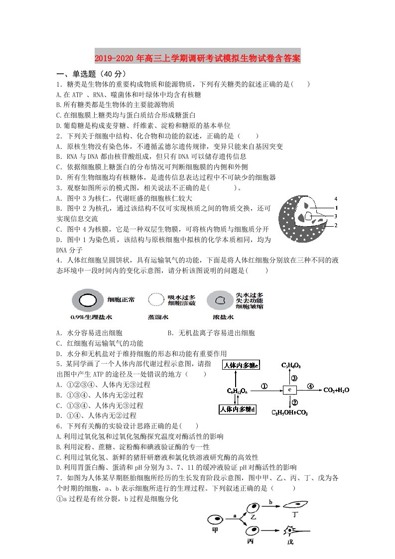 2019-2020年高三上学期调研考试模拟生物试卷含答案