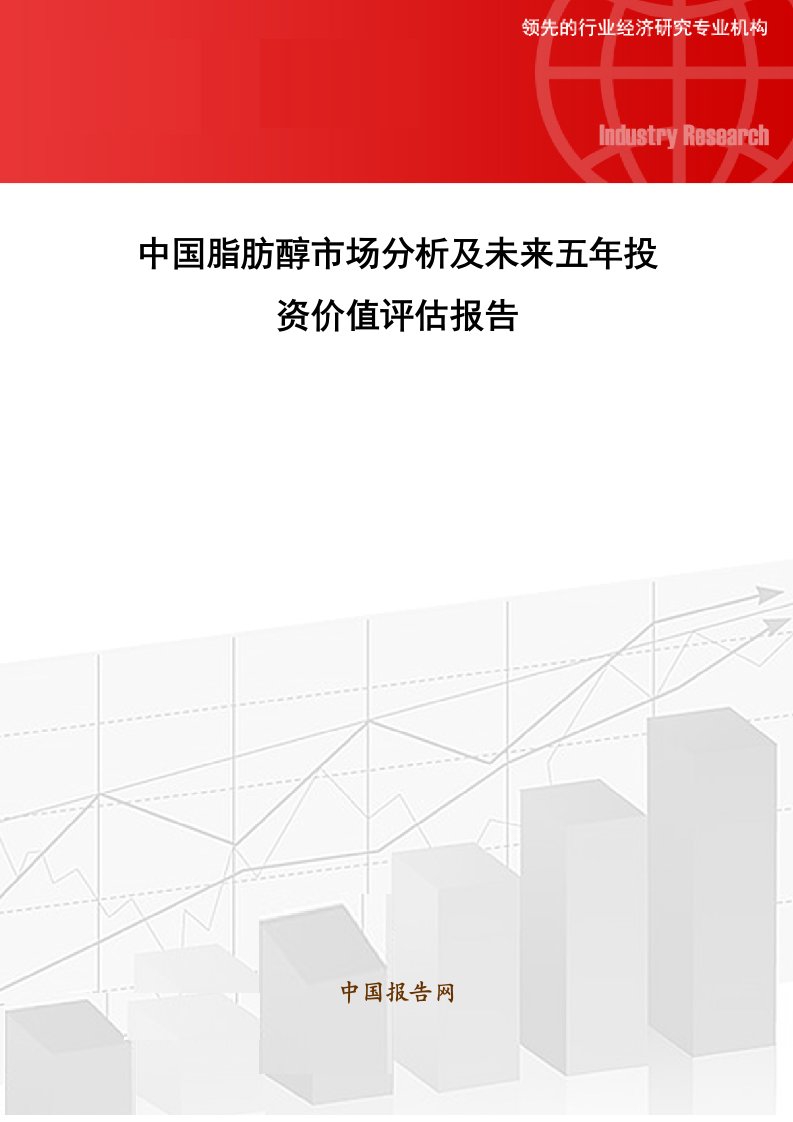 中国脂肪醇市场分析及未来五年投资价值评估报告