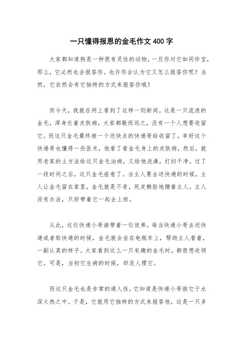 一只懂得报恩的金毛作文400字