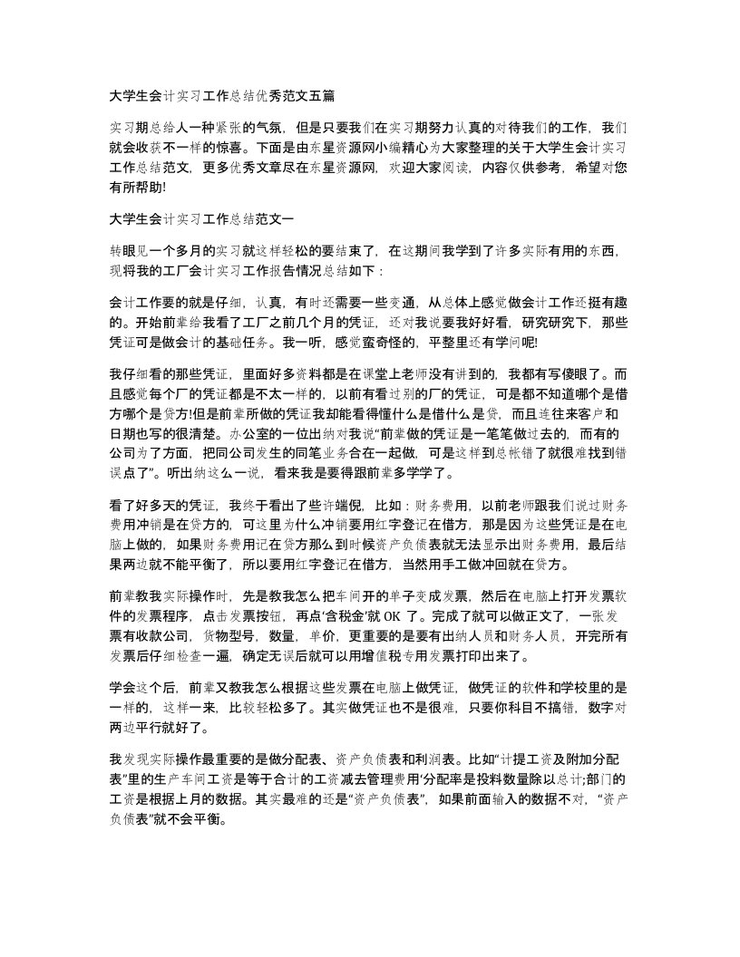 大学生会计实习工作总结优秀范文五篇