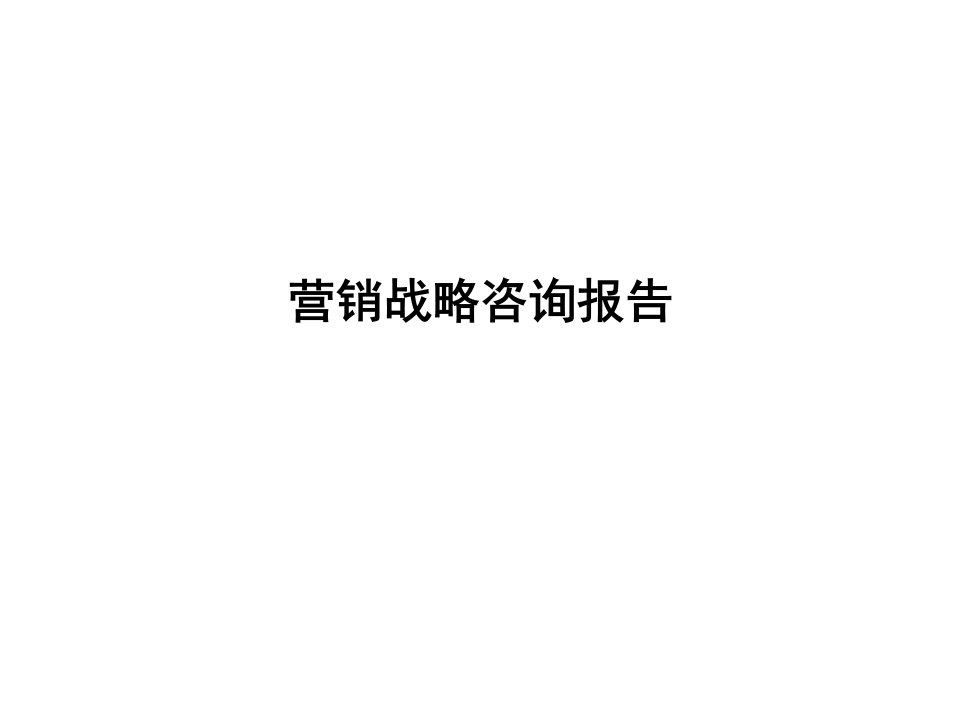 某公司营销战略咨询报告