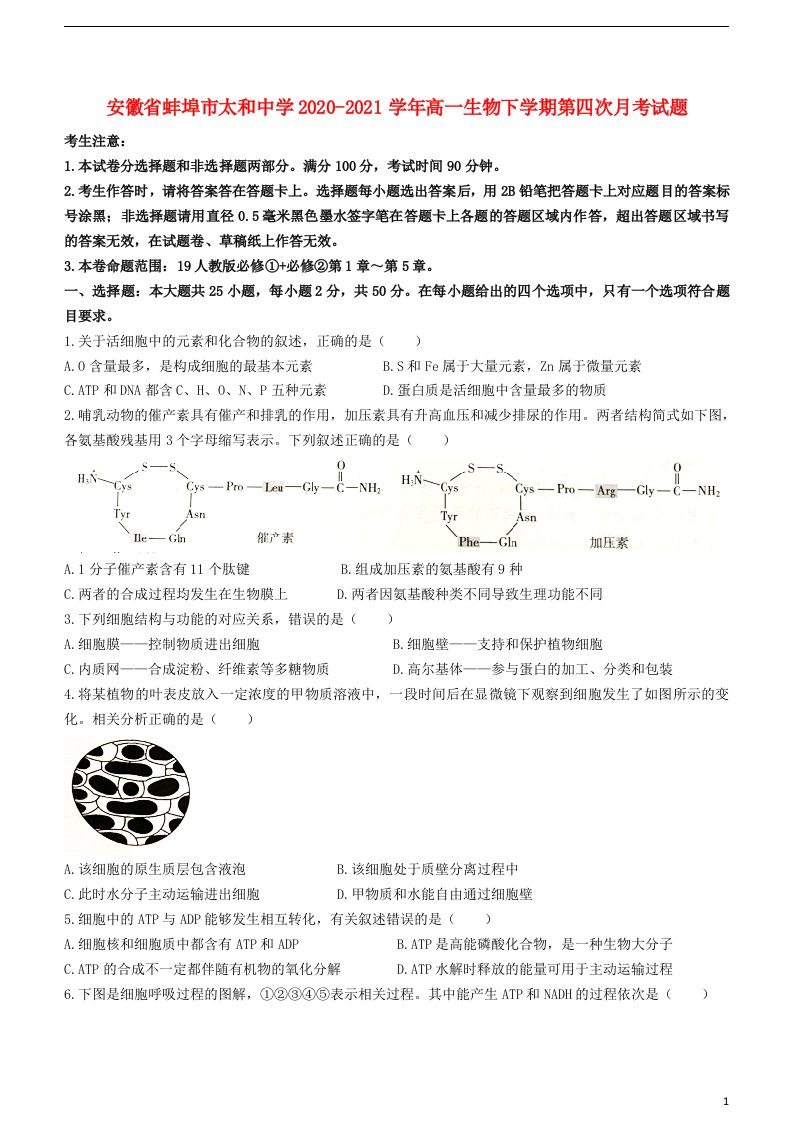 安徽省蚌埠市太和中学2020_2021学年高一生物下学期第四次月考试题