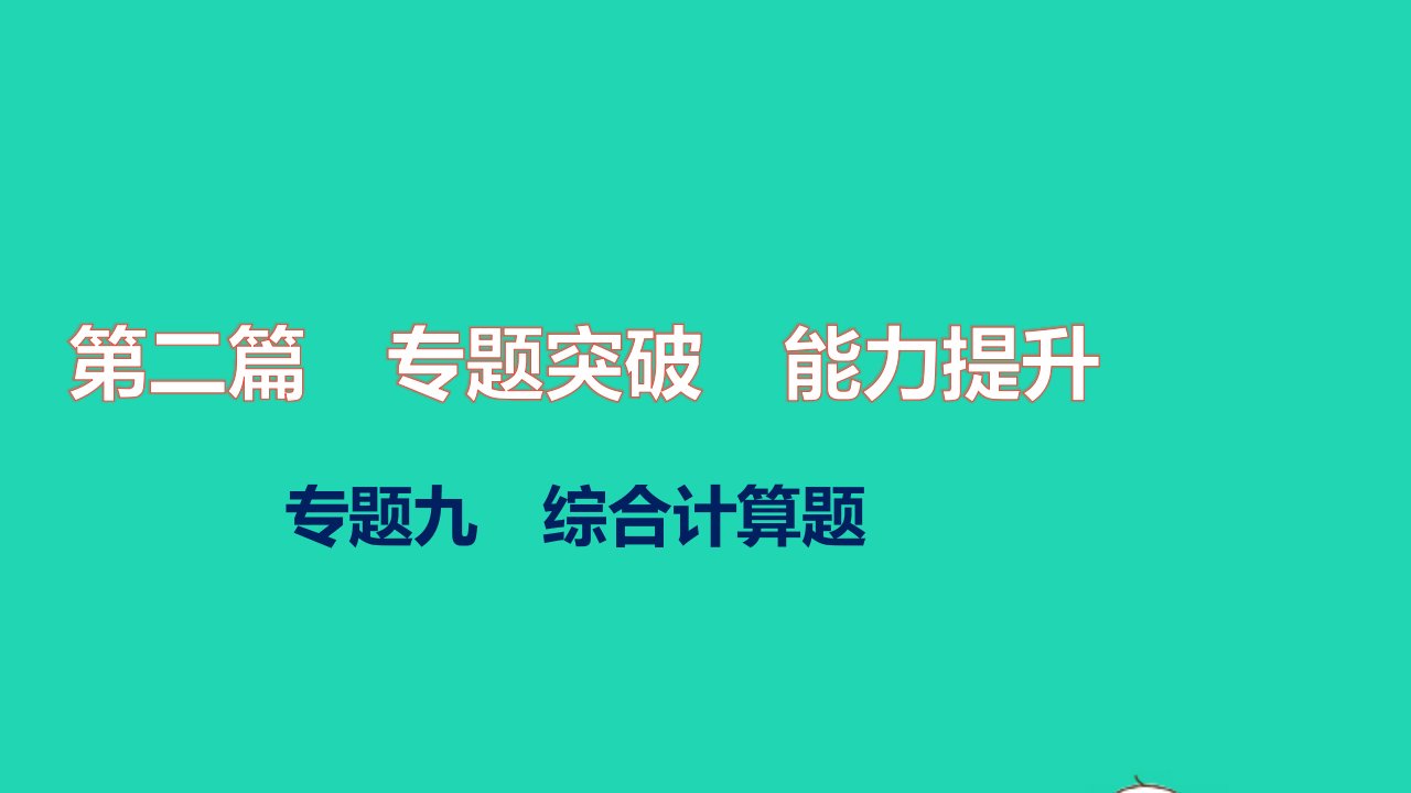 2021秋中考化学第二篇专题突破能力提升专题九综合计算题练本课件