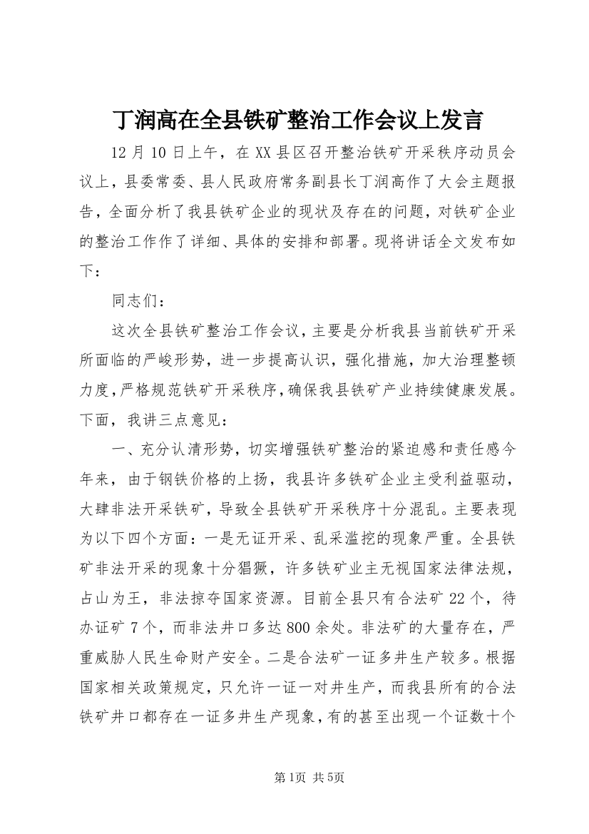 丁润高在全县铁矿整治工作会议上发言