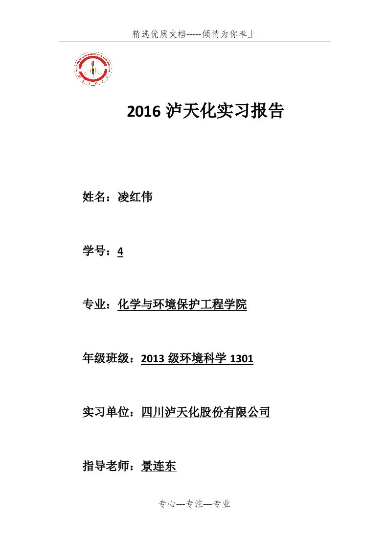 2016泸天化实习报告(共21页)