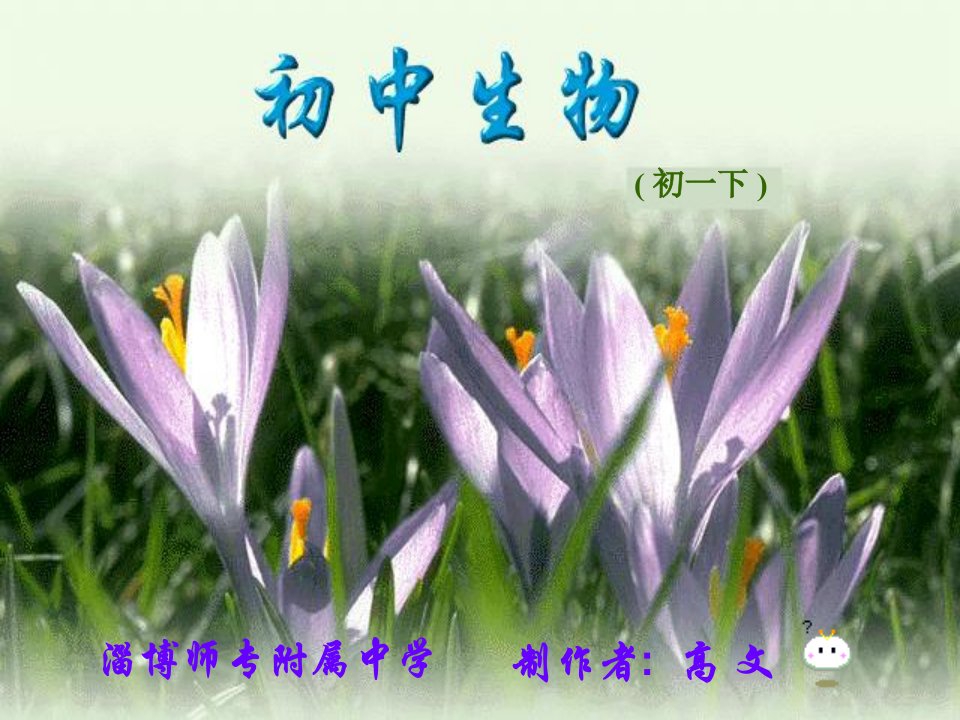 《淄博师专附属中学》PPT课件