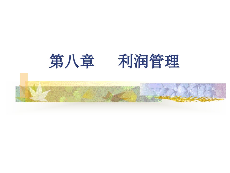 利润管理09财管课件