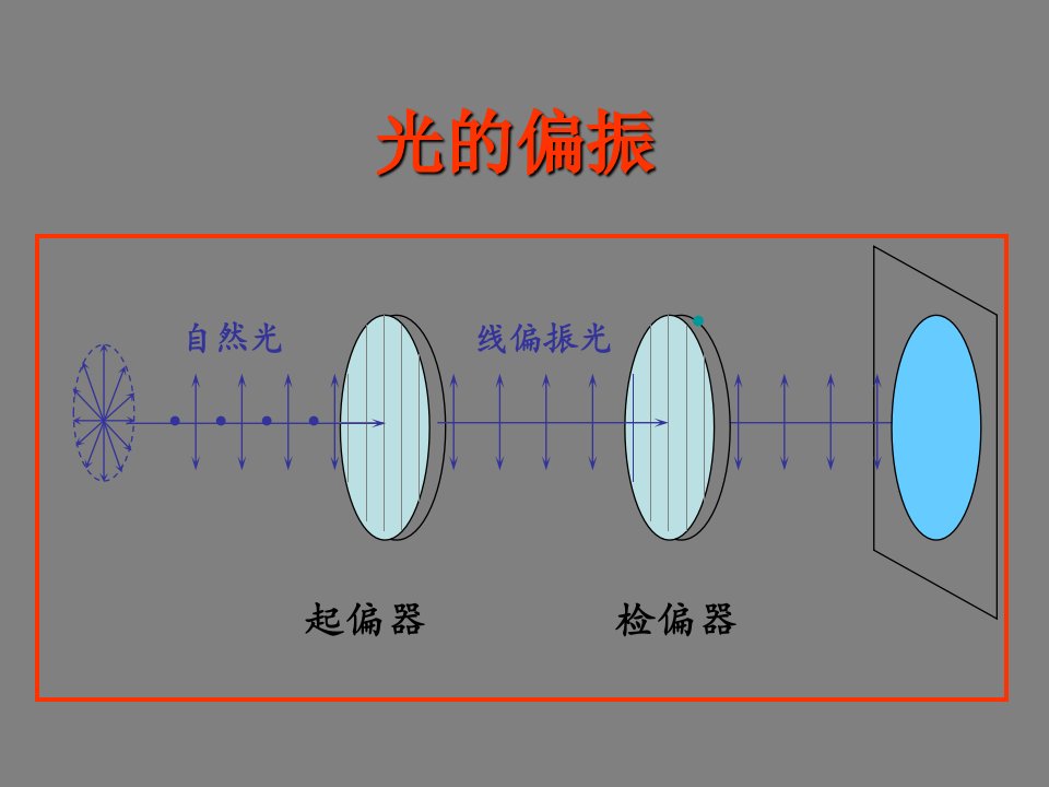 光的偏振起偏和检偏