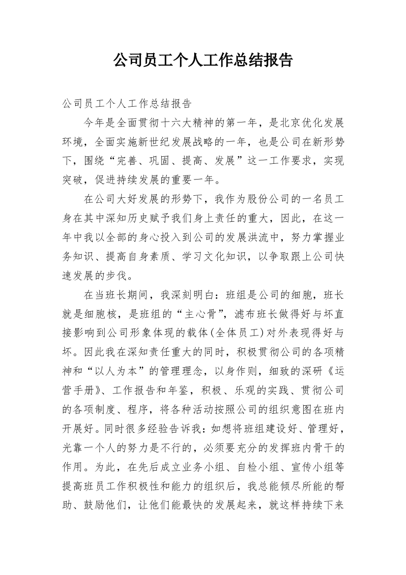 公司员工个人工作总结报告