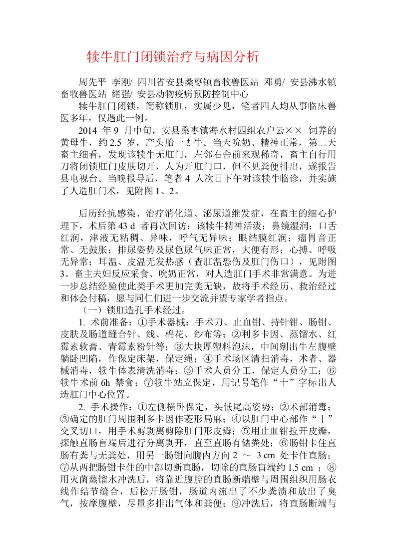 犊牛肛门闭锁治疗与病因分析