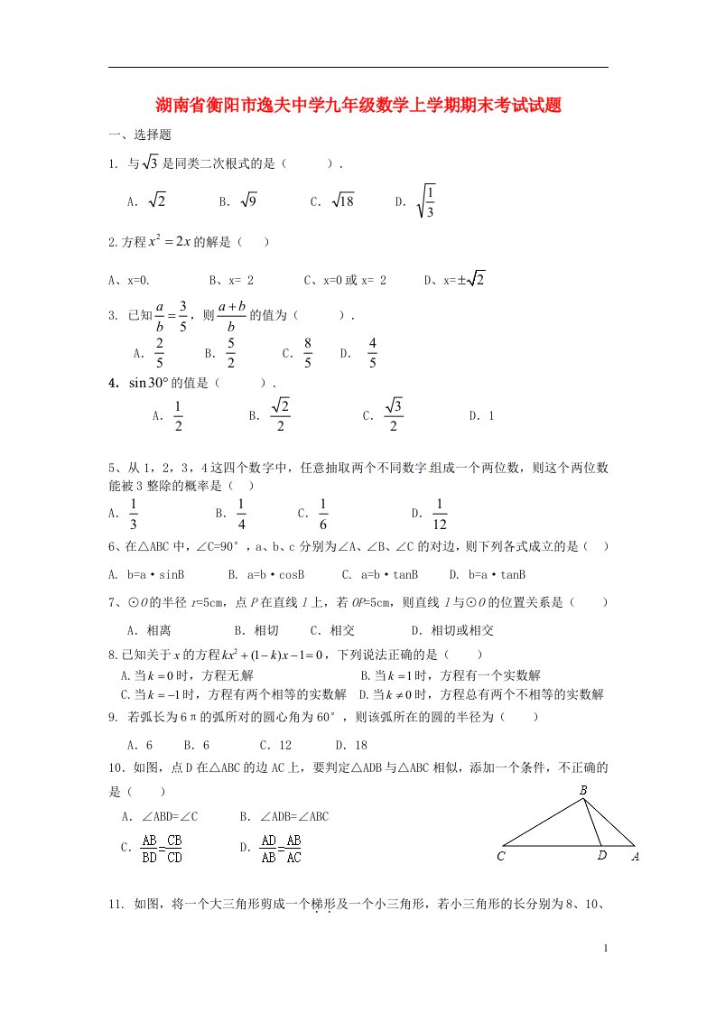 湖南省衡阳市逸夫中学九级数学上学期期末考试试题（无答案）