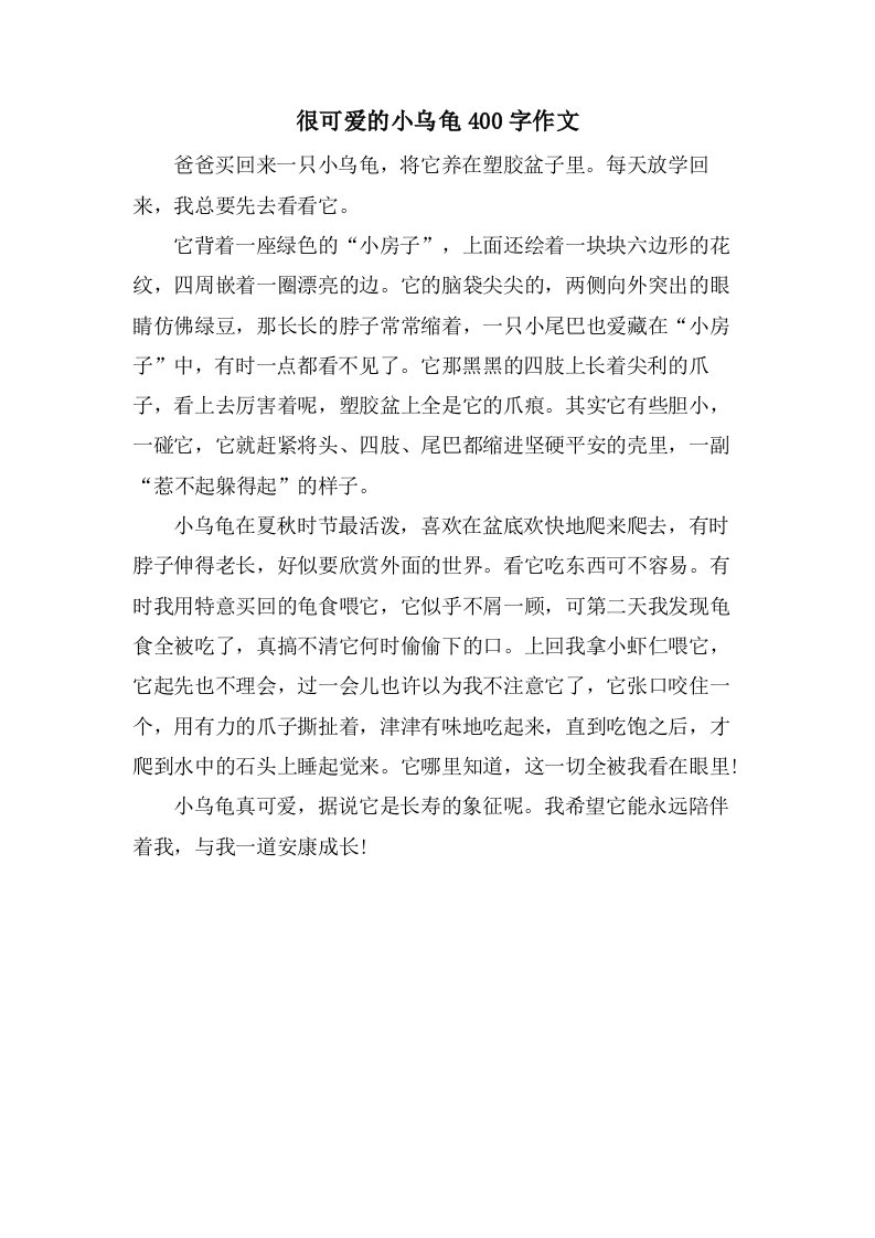 很可爱的小乌龟400字作文