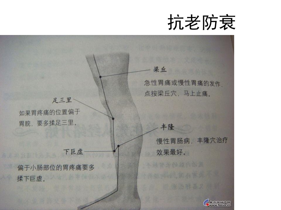 《抗老防衰养生》PPT课件