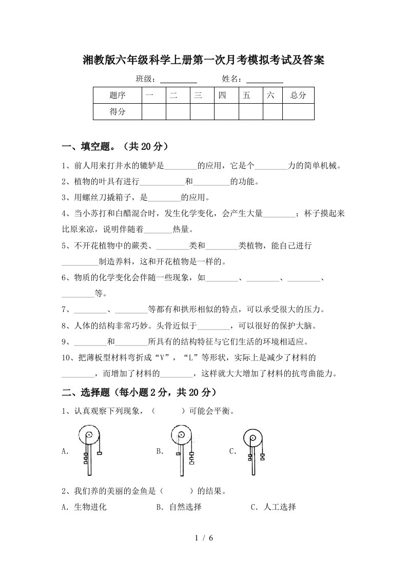 湘教版六年级科学上册第一次月考模拟考试及答案