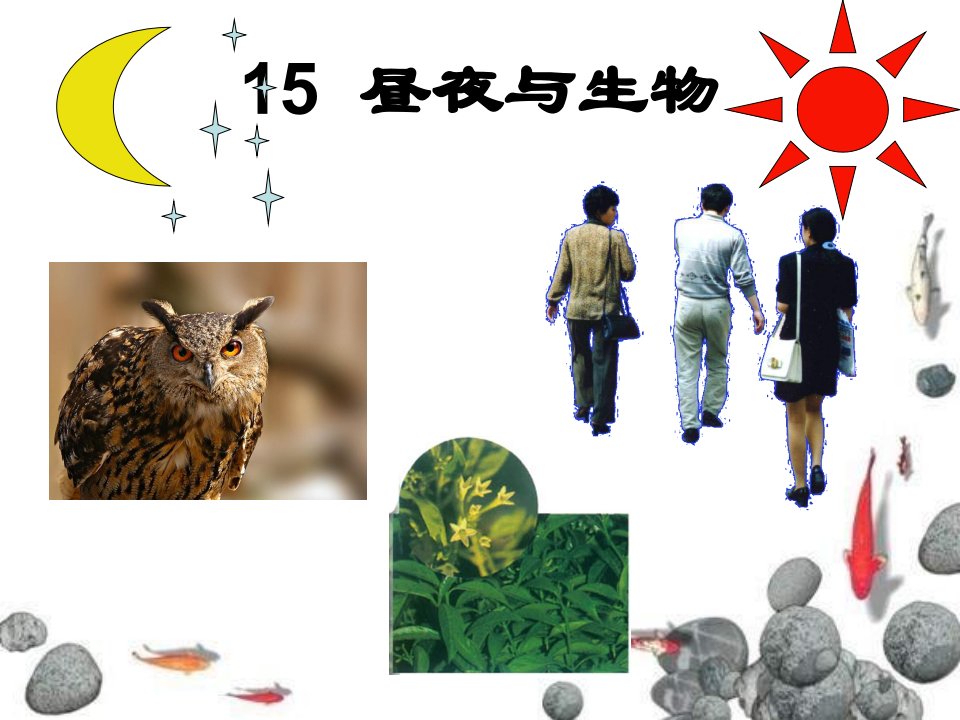 青岛版科学六上《昼夜与生物》PPT课件1