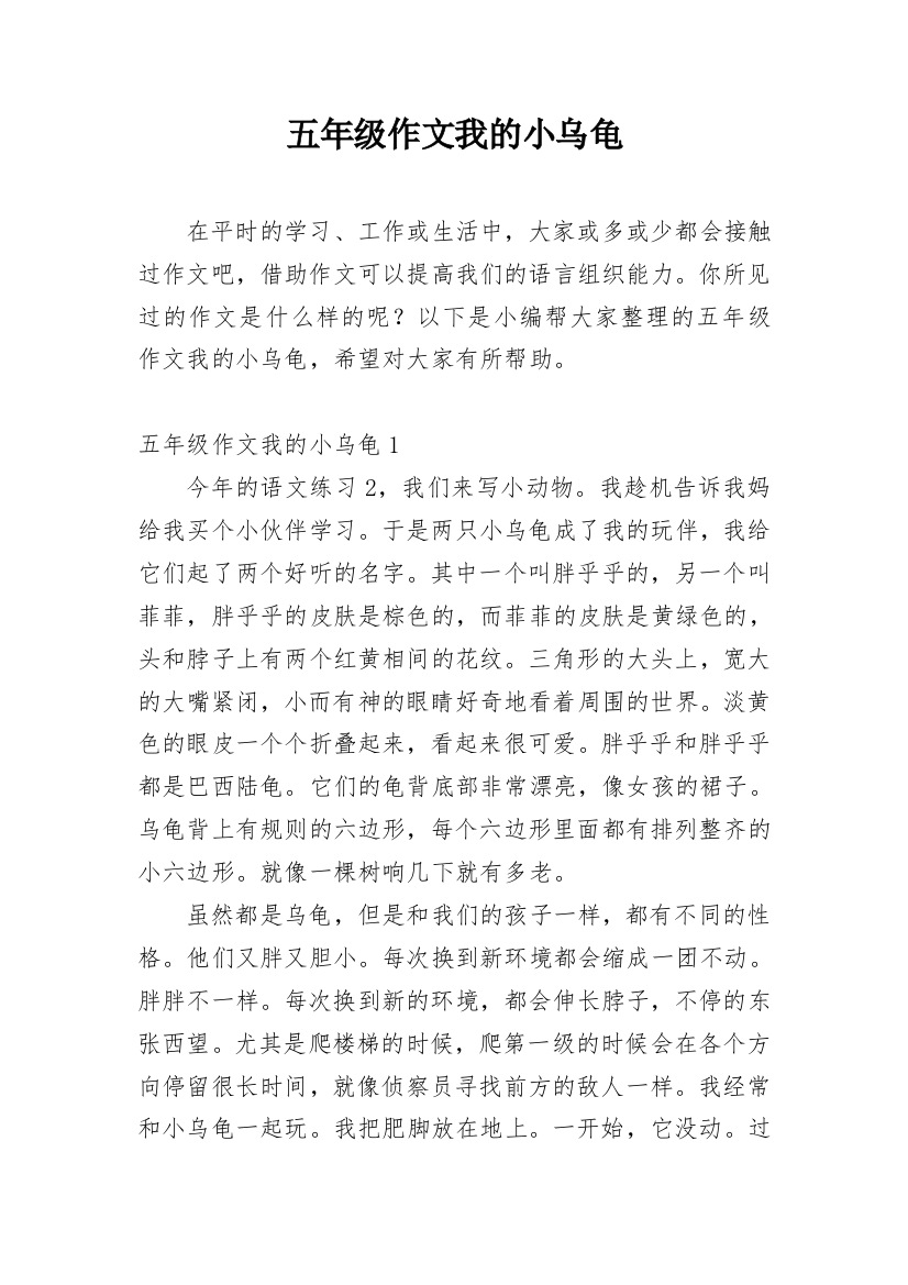 五年级作文我的小乌龟