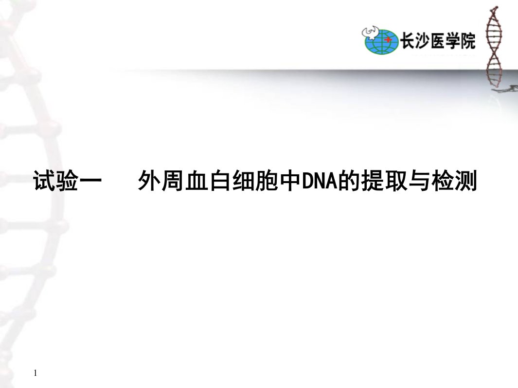 外周血白细胞中DNA提取与检测