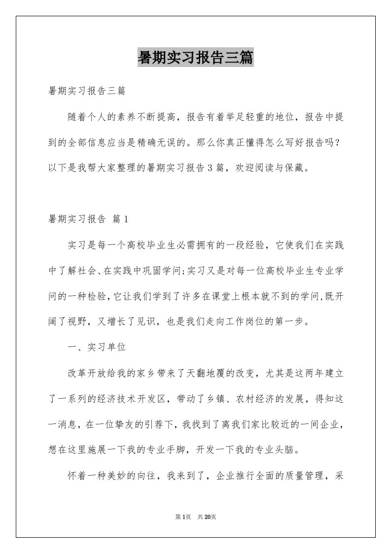 暑期实习报告三篇例文4