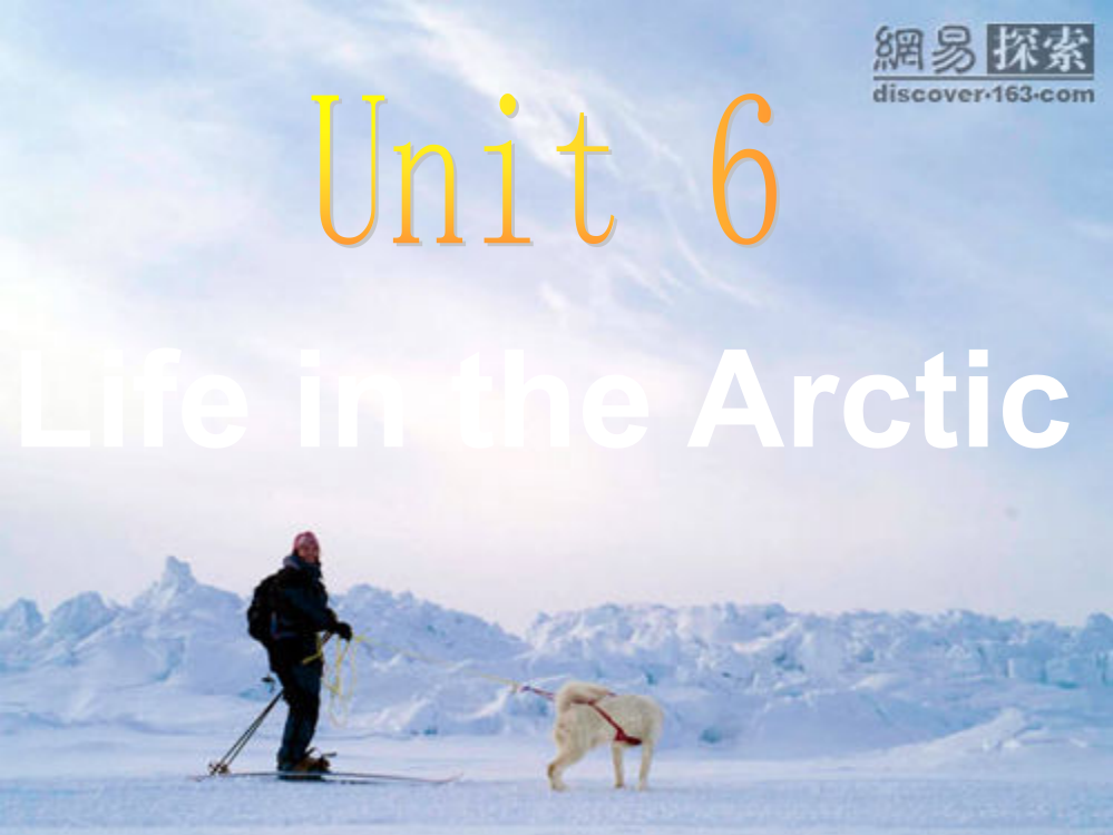 六年级下册LifeintheArctic