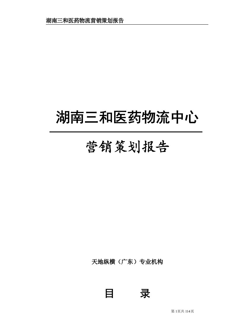 382072--湖南三和医药物流中心营销策划报告新--888161