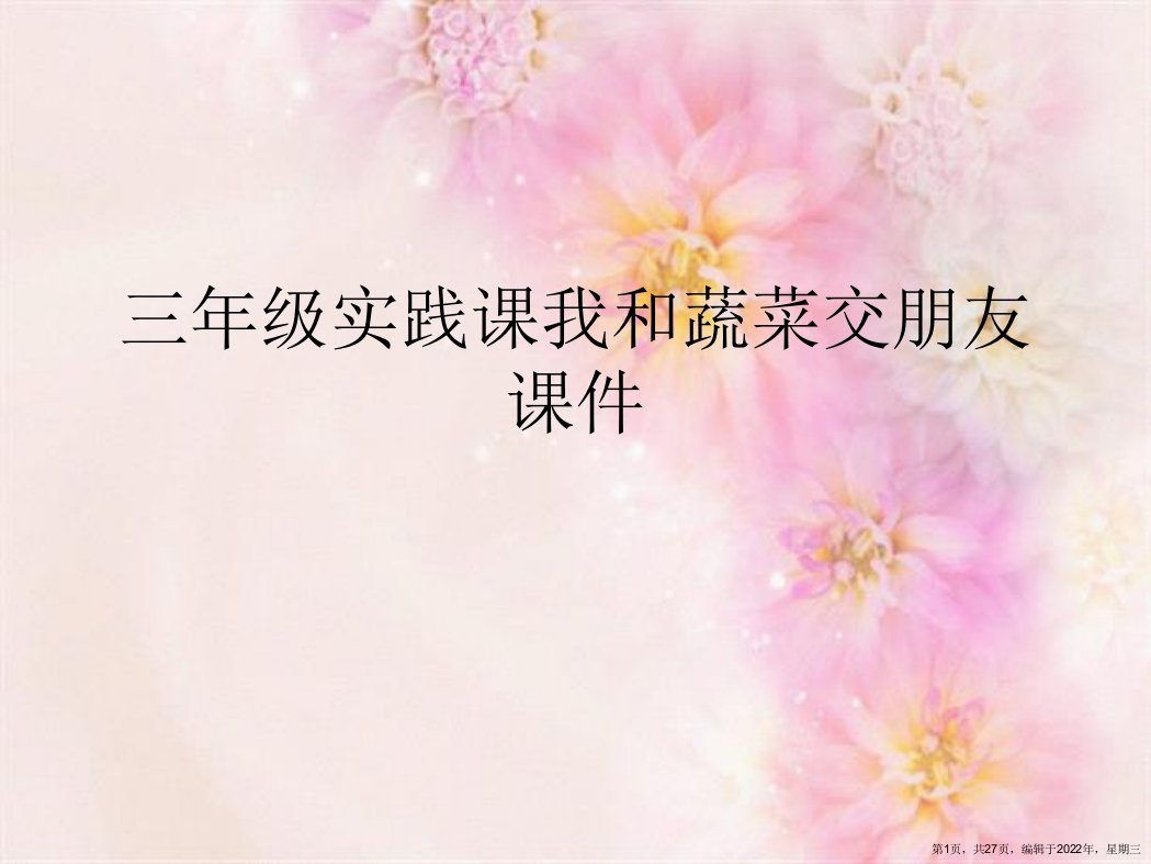 三年级实践课我和蔬菜交朋友