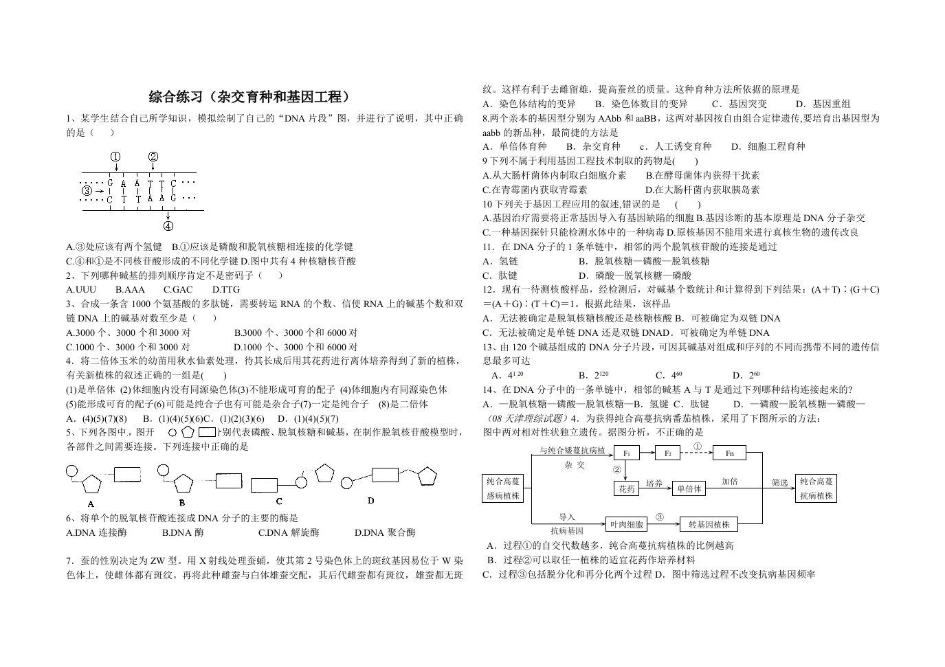 综合练习(杂交育种和基因工程)