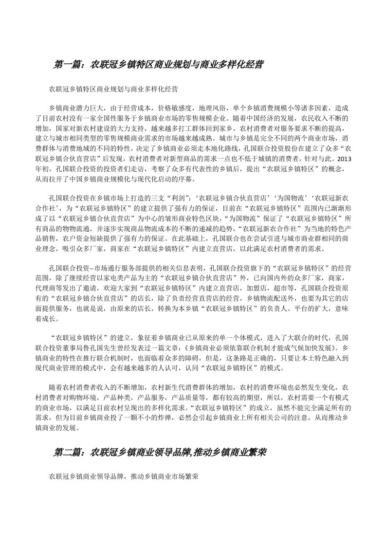 农联冠乡镇特区商业规划与商业多样化经营[修改版]