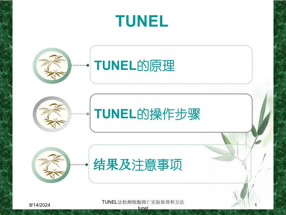 2021年度TUNEL法检测细胞凋亡实验原理和方法tunel讲义