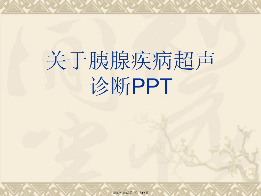 胰腺疾病超声诊断PPT课件