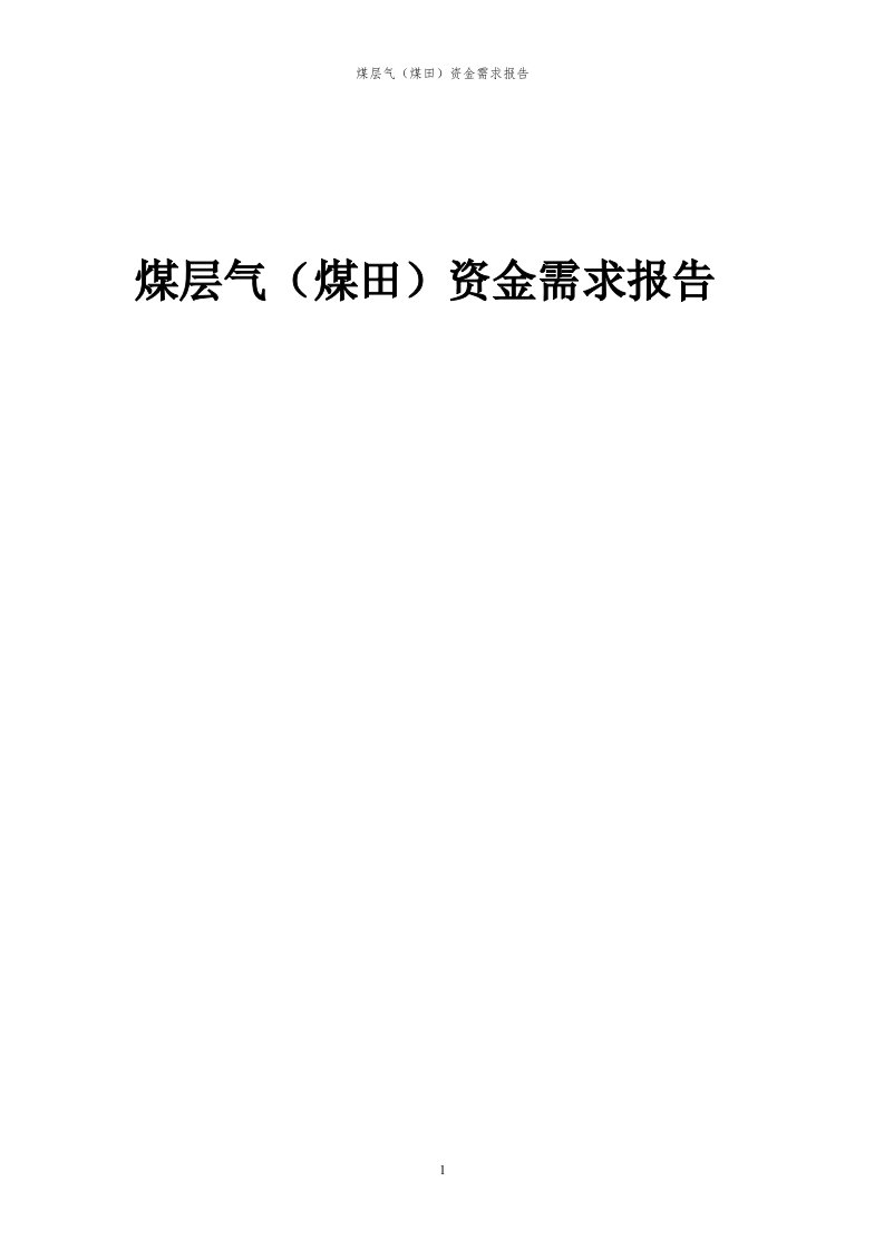 2024年煤层气（煤田）项目资金需求报告代可行性研究报告