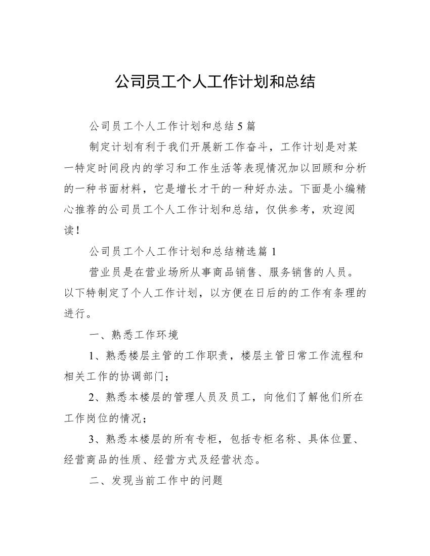 公司员工个人工作计划和总结