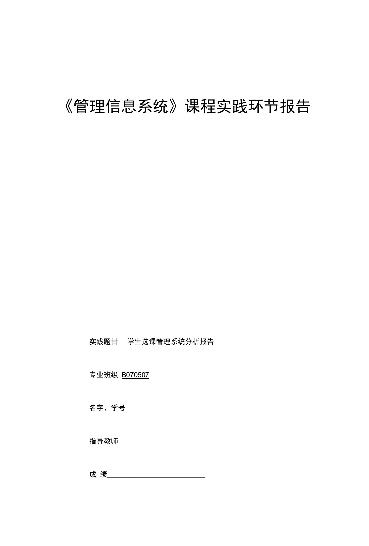 《管理信息系统》课程实践环节报告