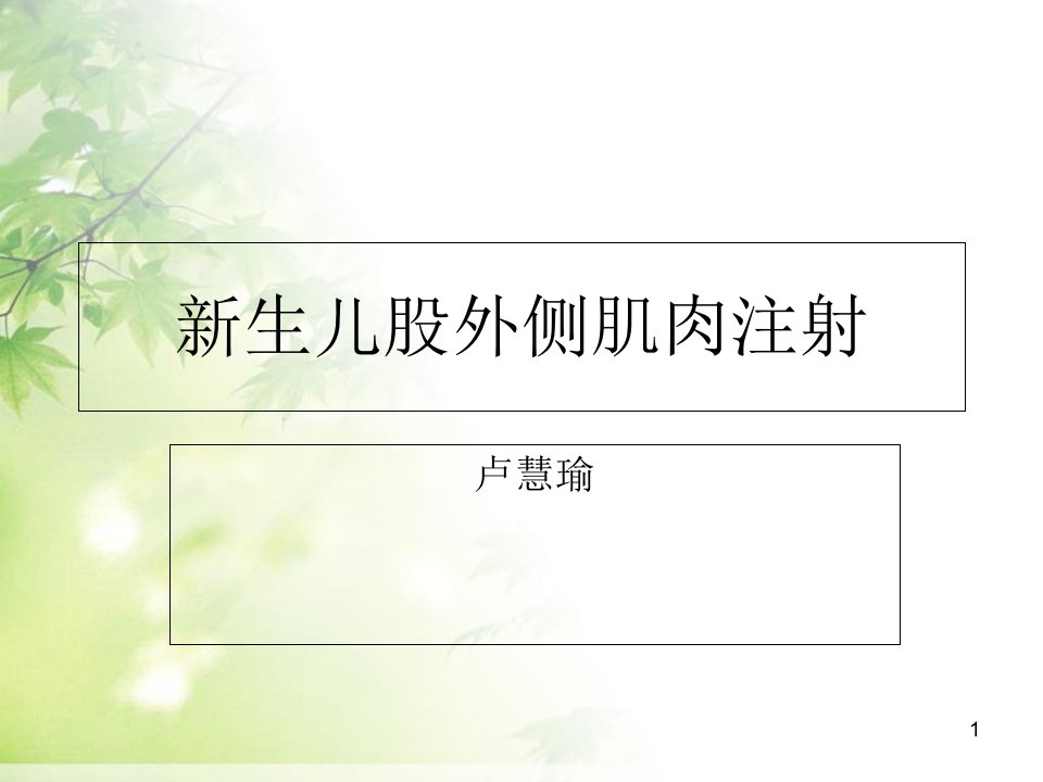 新生儿肌注（课堂ppt）