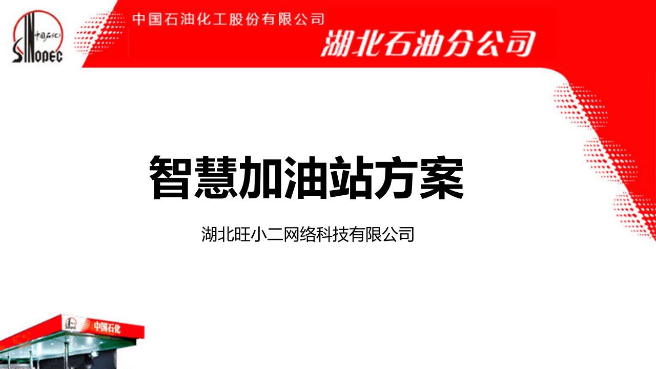 [精选]中石化智慧营销方案(510-4)