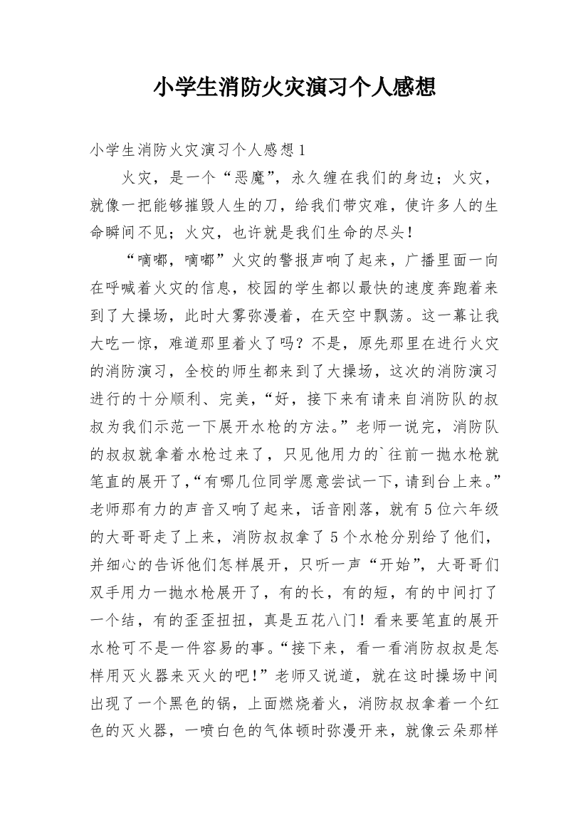 小学生消防火灾演习个人感想