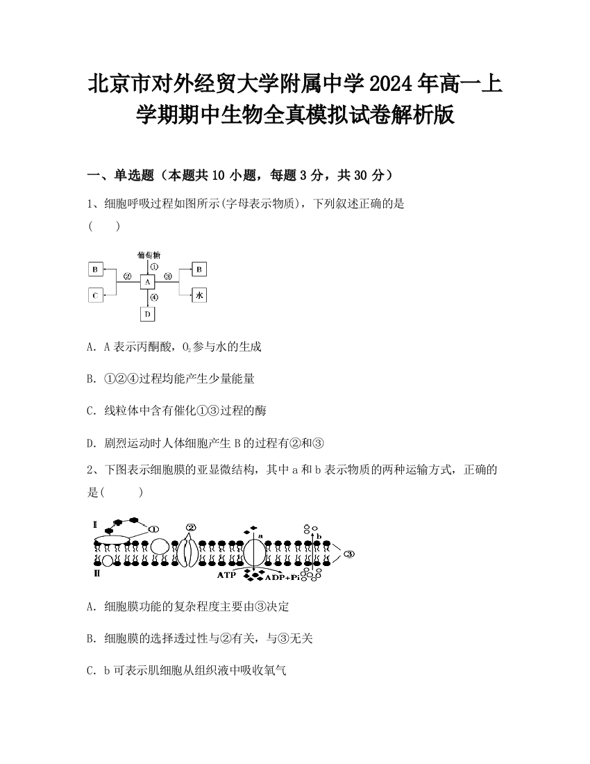 北京市对外经贸大学附属中学2024年高一上学期期中生物全真模拟试卷解析版