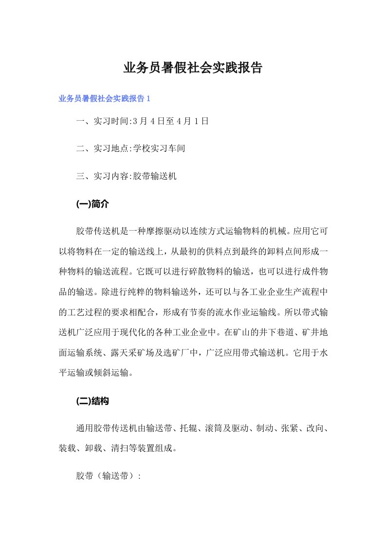 业务员暑假社会实践报告